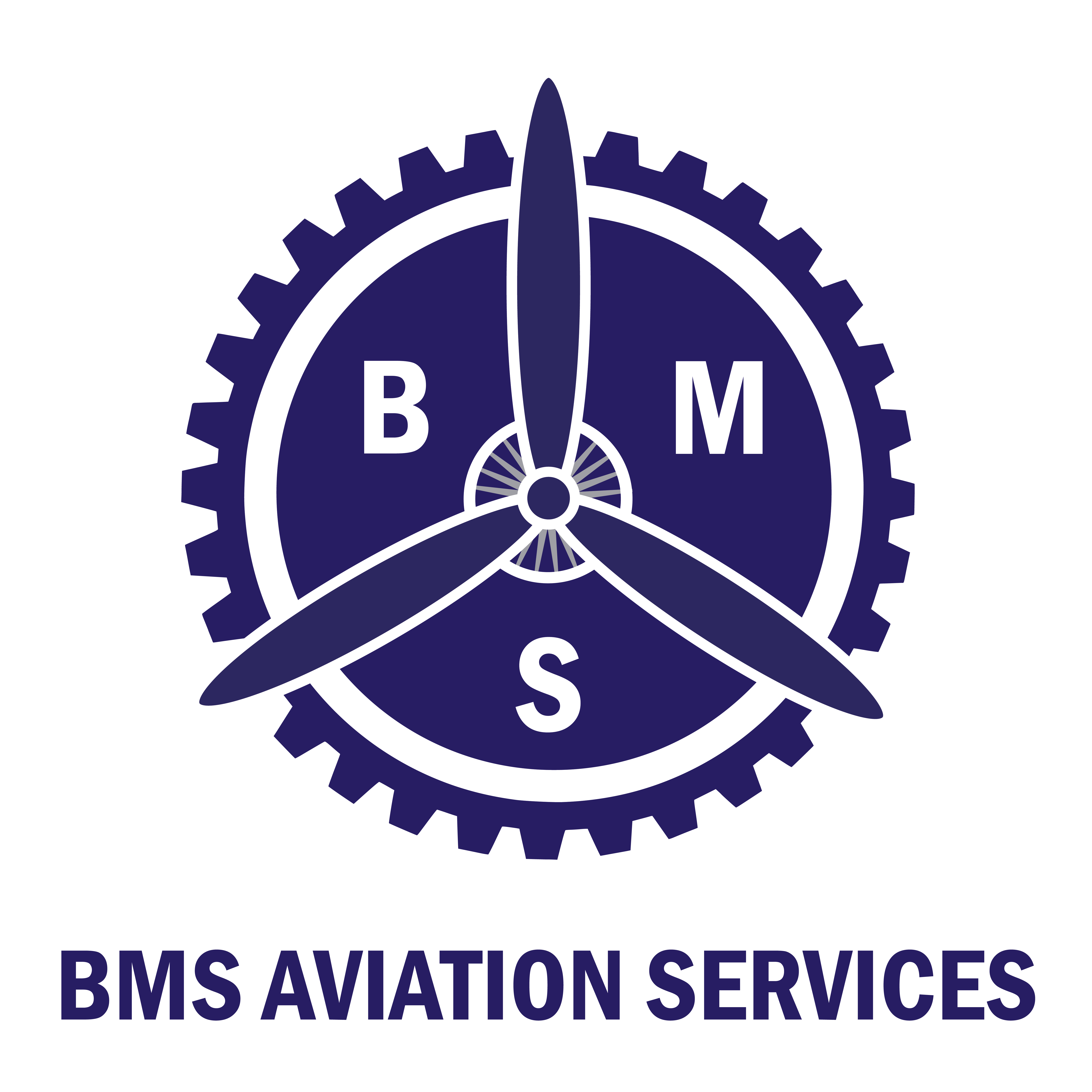 BMS AVIATION SERVICE